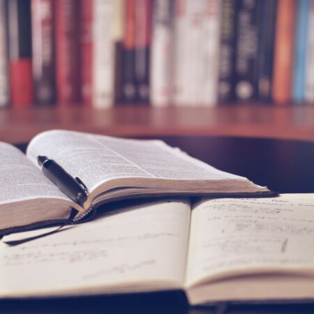 Studiengang »International Migration and Social Cohesion«